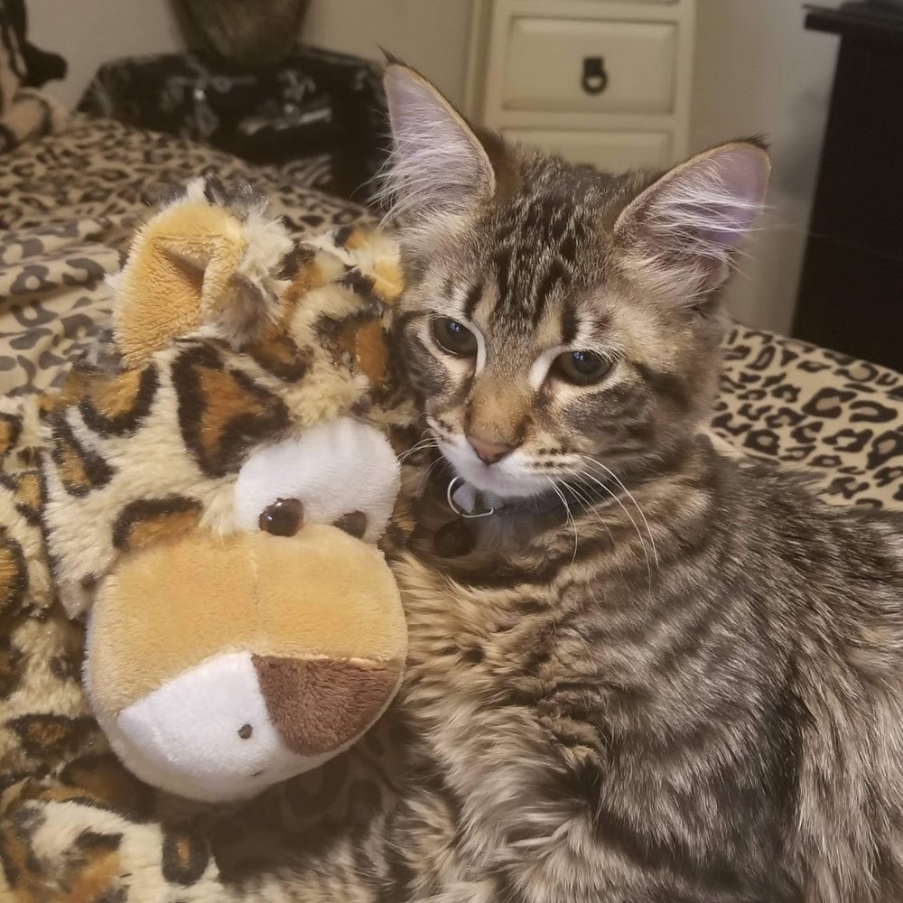 Meet your Posher, Theresa